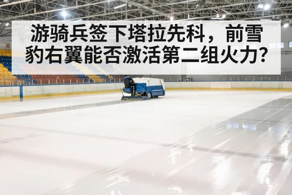 hockey rink arena