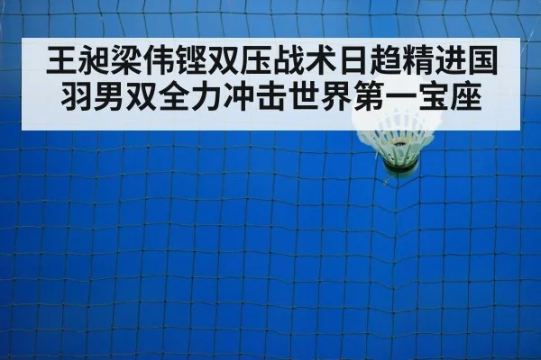 badminton net play